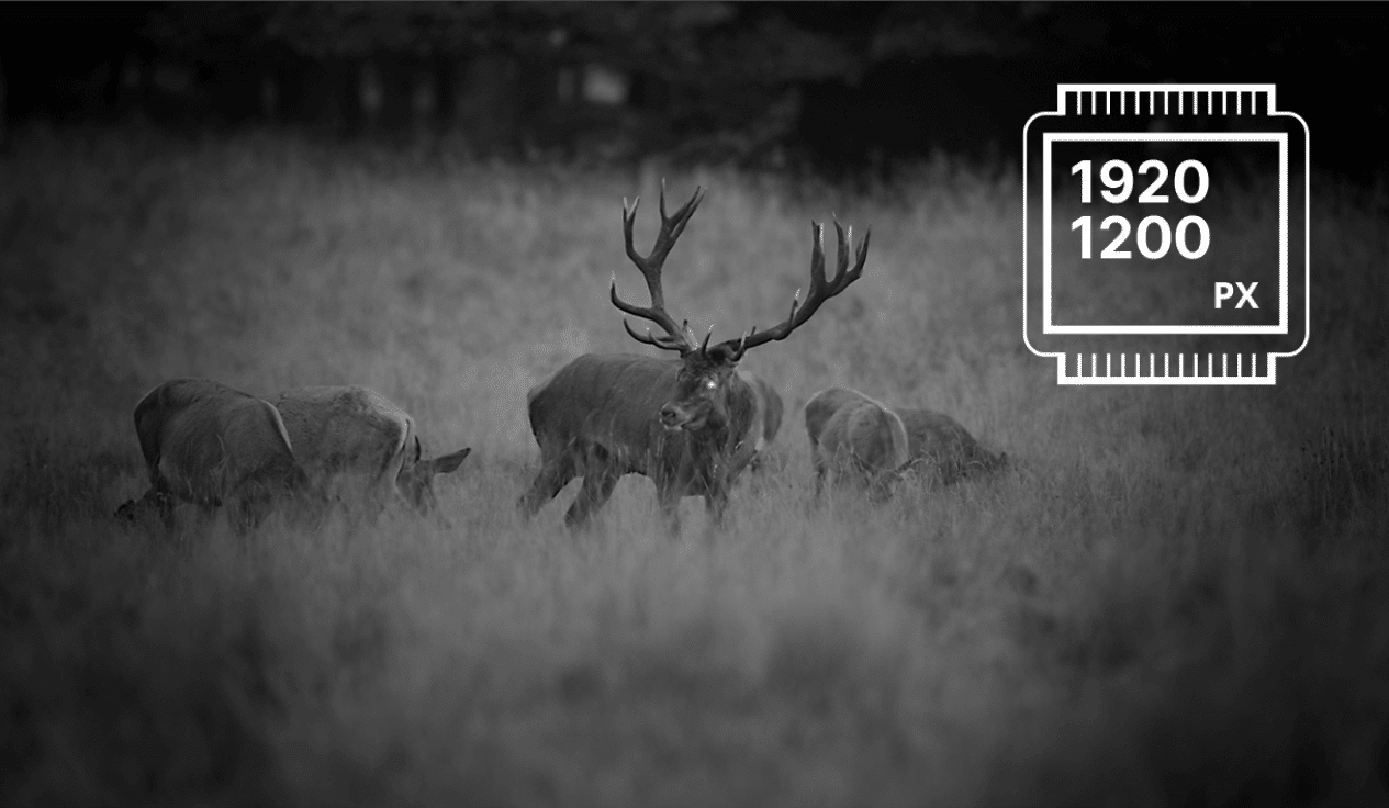 PulPsar Merger Duo NXP50 – Termovizijski i noćni dvogled sa duplim spektrom - Слика 3