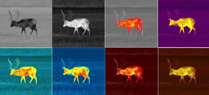 Pulsar Thermion 2 LRF XG60 – Termalni nišan sa LRF-om | sNETD ≤ 20 mK | 4×–32× - Слика 4